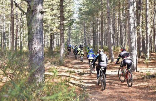 La Mia Valigia “Casetta Fragolina” - Foto 30