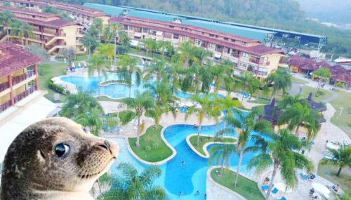 Flat Resort Costabella - 234 Estúdio - Foto 5