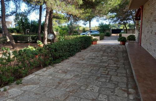 Paradiso House - Foto 38