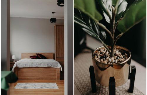 Apartamenty „Nad Popradem” - Foto 54