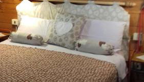 L' Amabile Geko - Photo 3