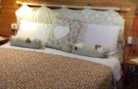 L' Amabile Geko - Foto 3