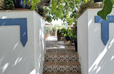 La Noguera de Baena - Foto 10