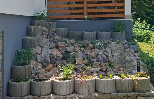 Grofova Kuća - Photo 21