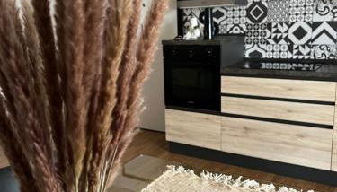 Igro Apartment - Foto 5, stove