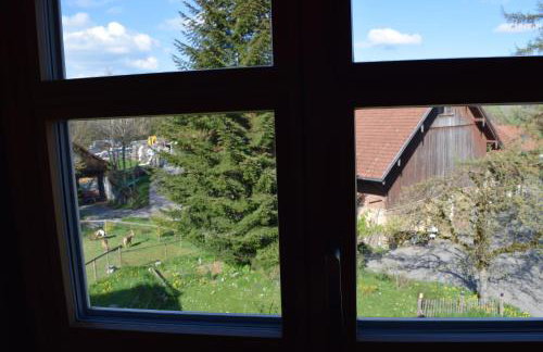 Holstein-Höfle - Gipfelstüble - Photo 12