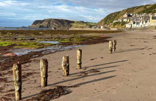 Bellevue Holiday Cottage - Foto 42