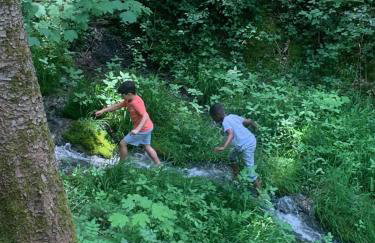 Ferienhaus Spielburg - Foto 56