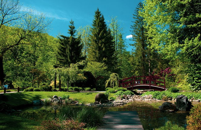 Wellness Suite Orchid - Foto 20