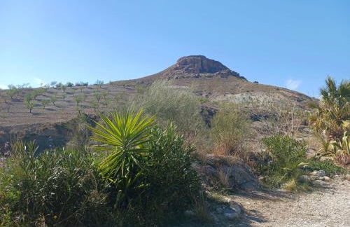 Casa rural los Cerezos - Foto 67