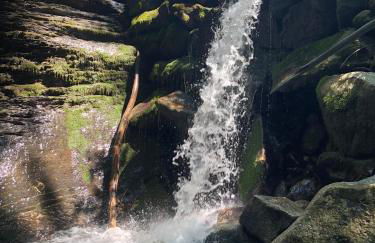 Le Moulin des Olirics - Photo 83