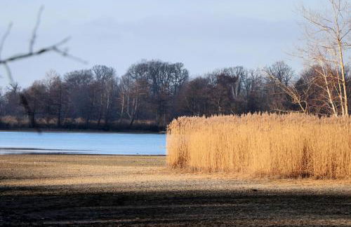 Ferienhaus "Ullersdorfer Teiche" - Foto 18