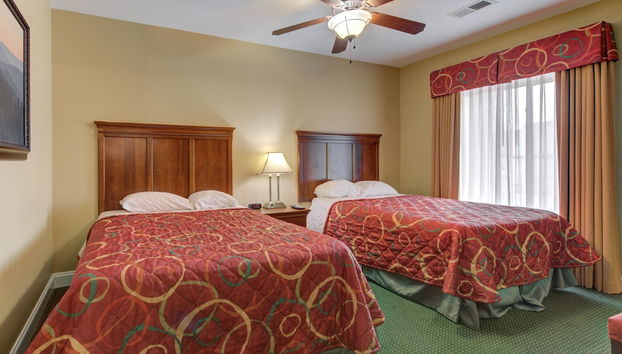 City Bear - Foto 2, Habitación