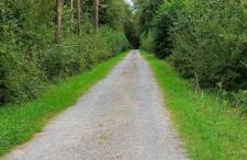 s' Kännele Ferienwohnungen - Foto 59