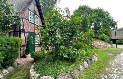 Ferienhaus unter Reet im Heidedorf Sankt Dionys bei Lüneburg - Foto 9