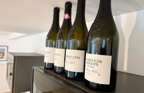 Maison Palomase en plein cœur de Sancerre - Foto 6