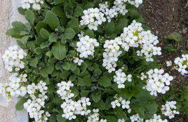 Apartman PLUM PLITVICE - Foto 44