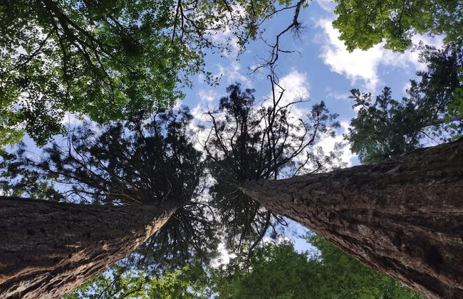 Chalet in Wendorf - Foto 35