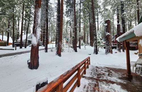 Toste Cabin- Spacious 3BR Cabin in East Village! - Foto 33