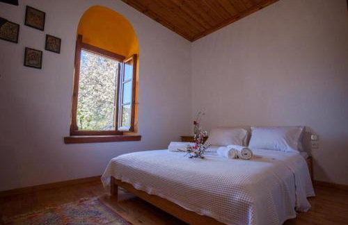 Eremia Rustic House - Entire Villa in Pelion - Foto 7