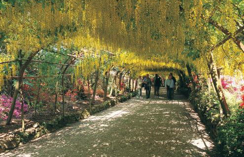 Conwy Valley Cottages - Foto 66