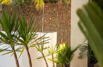 Exclusive Villa City, Beach & Golf - Photo 56