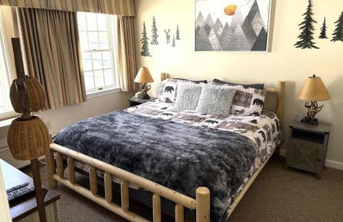 Mountain View Suite Sleeps 4 Ski OnOff Jiminy Peak - Foto 1