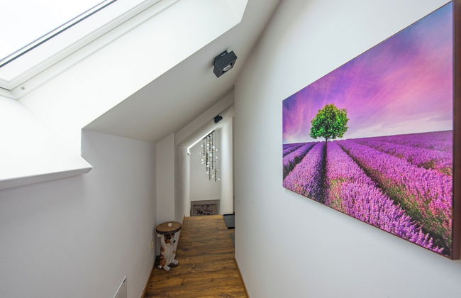 Apartmány Žakovce & SPA - Foto 67