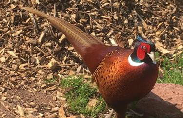 The Old Gasworks - Foto 32