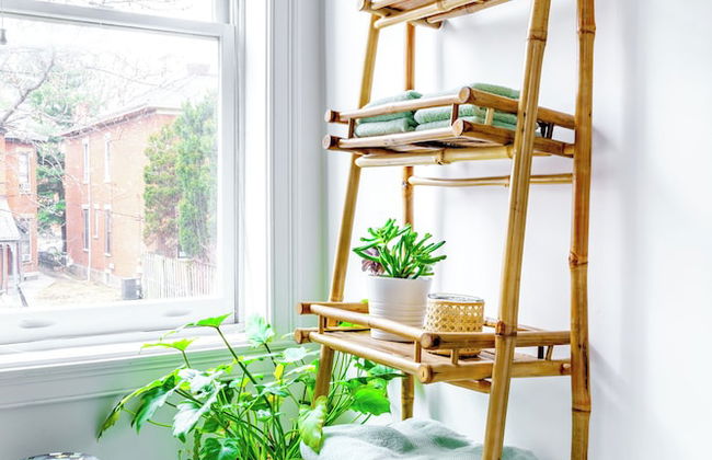 The Urbn Jungle - Photo 55