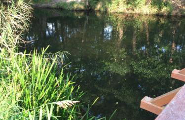 AMBER Dębki - Foto 8