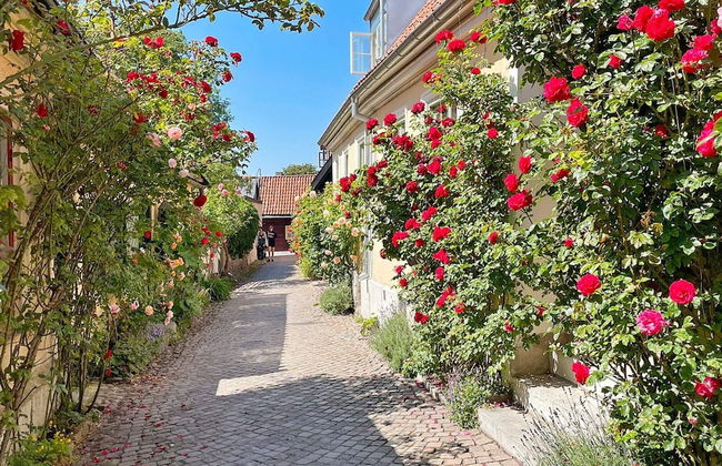 4 Person Holiday Home in Klintehamn-by Traum - Foto 27