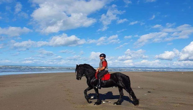 Passeio a Cavalo - Tour - Foto 5