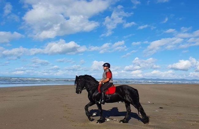 Passeio a Cavalo - Tour - Foto 5