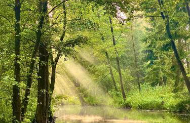 Mazurski Domek - Wake Up Home Ogonki - Foto 44