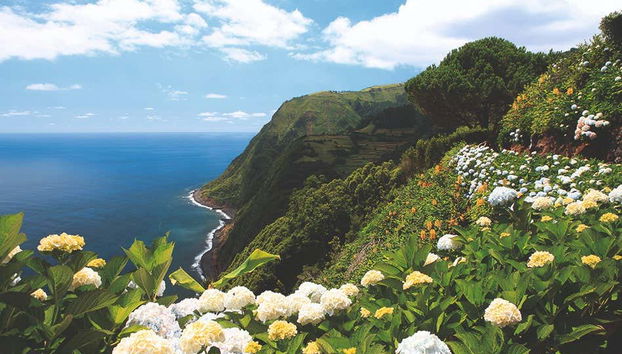 São Miguel Private Tour - Foto 5