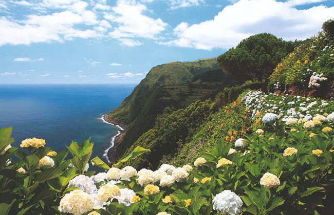 São Miguel Private Tour - Foto 5