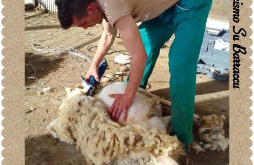 Agriturismo Su Barraccu - Foto 45