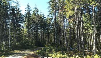 Shackmatack - Foto 3, Garden