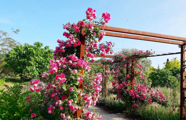 La Maison de Noélie - rez de jardin - Foto 51