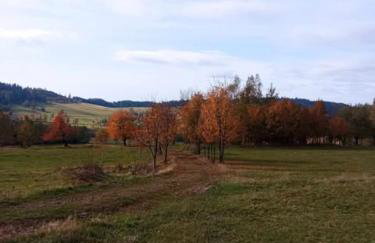 Agroturystyka Jak Makiem Zasiał Dworki 10 - Foto 31