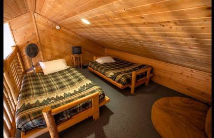 Island Park Hideaway -Bill's Island -Hot Tub -BBQ - Foto 25