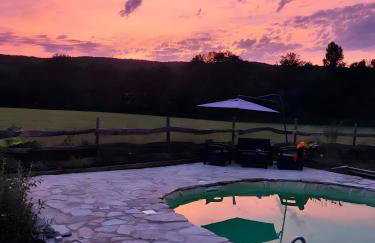 Au chant des oiseaux - rouge gorge - Foto 25