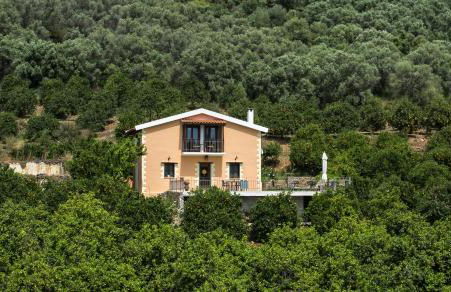 Citrea Villa - Photo 37