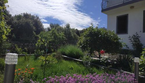 Apartment Lavanda Nova - Foto 2, Garden view