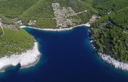 Robinson house Orlandusa - Foto 22