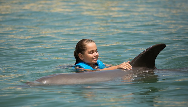 Schwimmen mit Delfinen in Punta Cancun - Foto 2