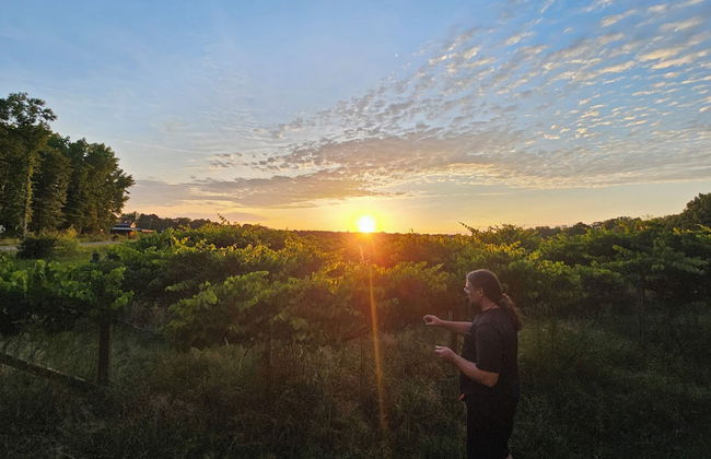 Phoenix Farms Vineyard - Foto 16