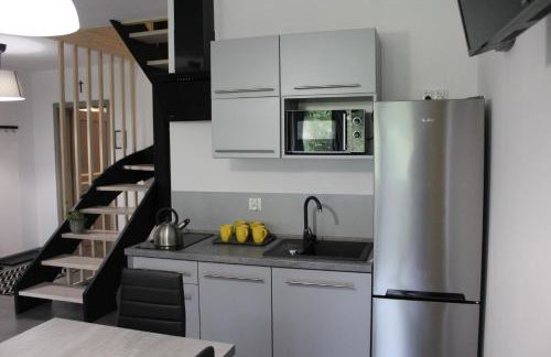 Apartamenty Świstak Maciej Dunajczan - Foto 15