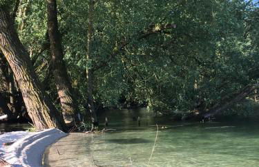 Les Cottages d'Orient Gite Boutique - Foto 24